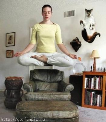 yoga-cat2.jpg